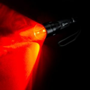 Carplife Compact Bird Torch & Neoprene Case!